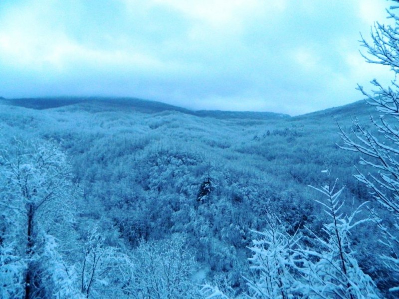 DSCN4606.JPG