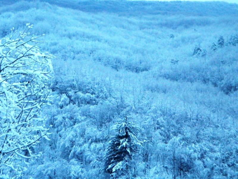 DSCN4609.JPG
