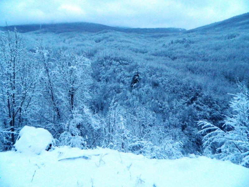 DSCN4613.JPG