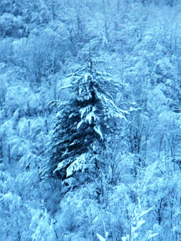 DSCN4612.JPG