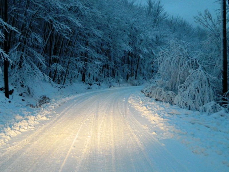 DSCN4619.JPG
