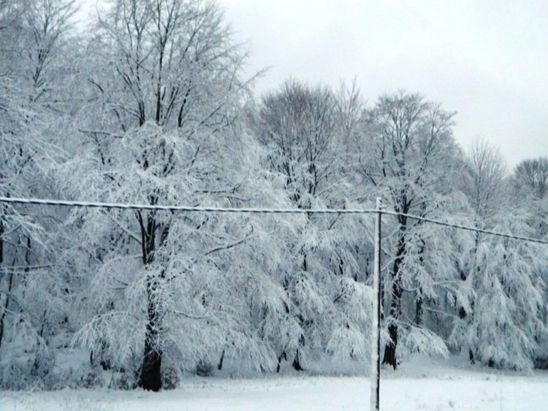 DSCN4624.JPG
