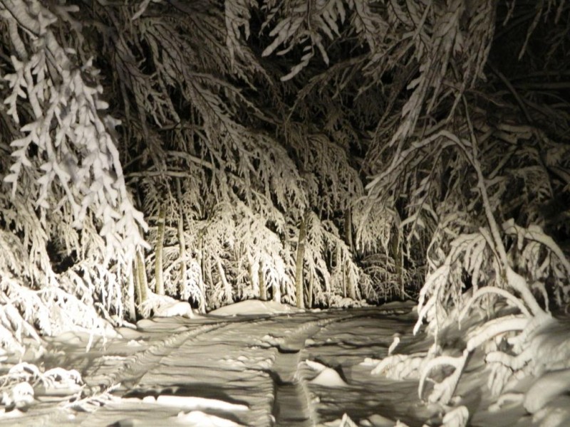 DSCN4653.JPG