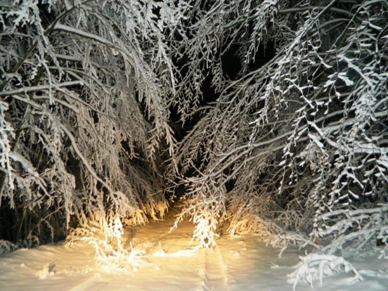 DSCN4663.JPG