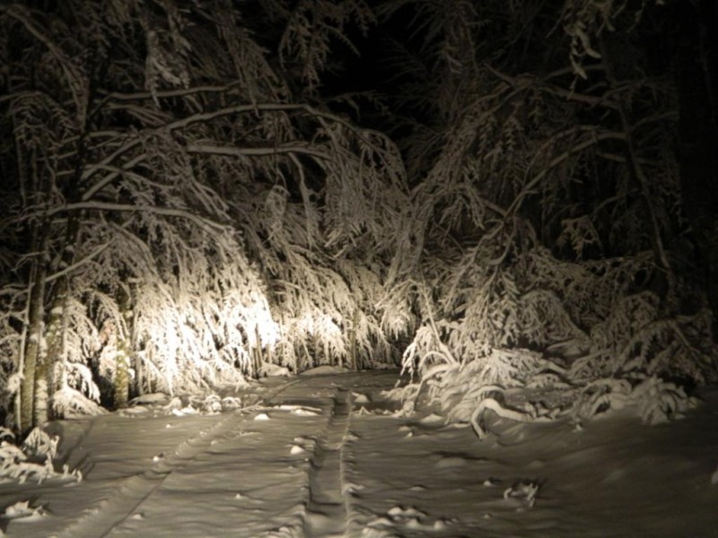 DSCN4650.JPG