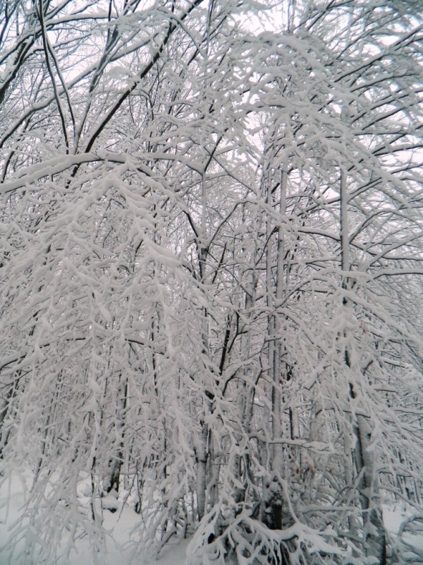 DSCN4677.JPG
