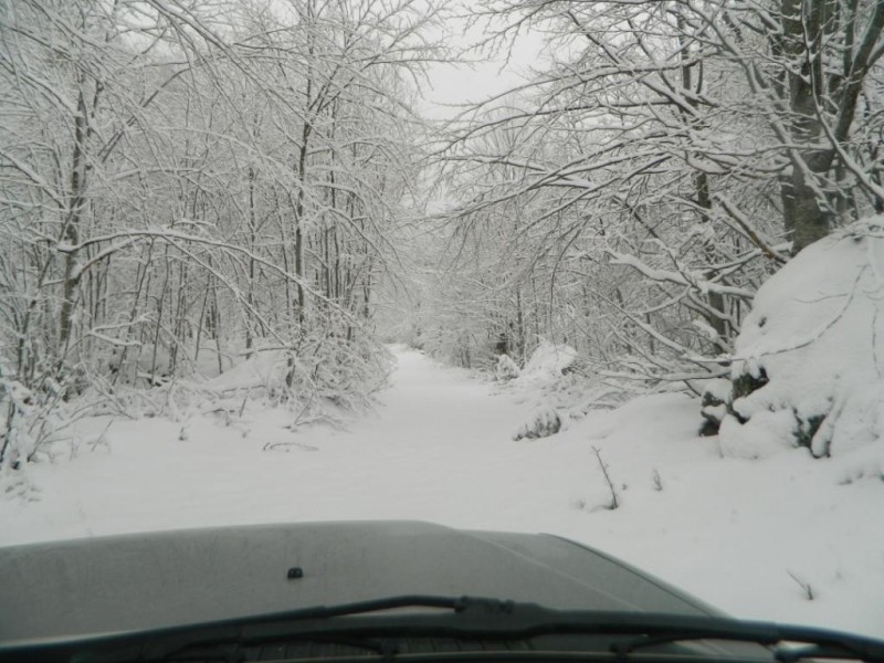 DSCN4678.JPG