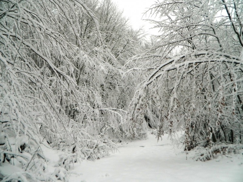 DSCN4680.JPG