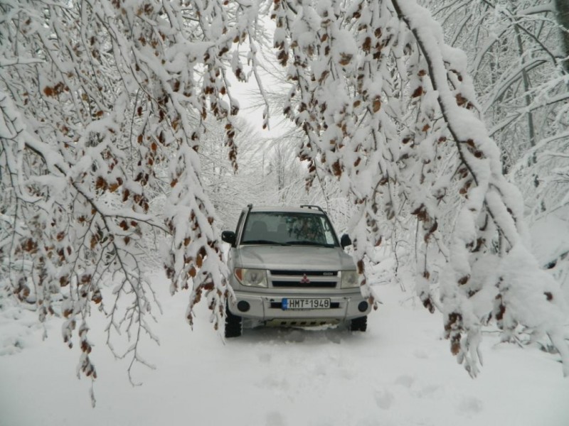 DSCN4685.JPG