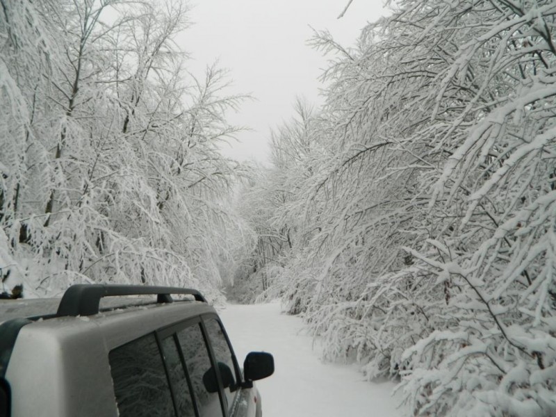 DSCN4689.JPG