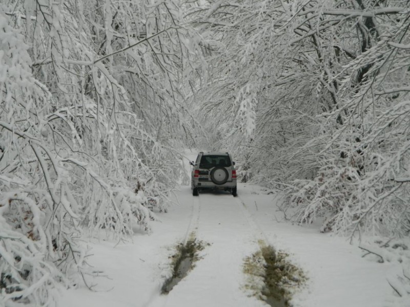 DSCN4692.JPG