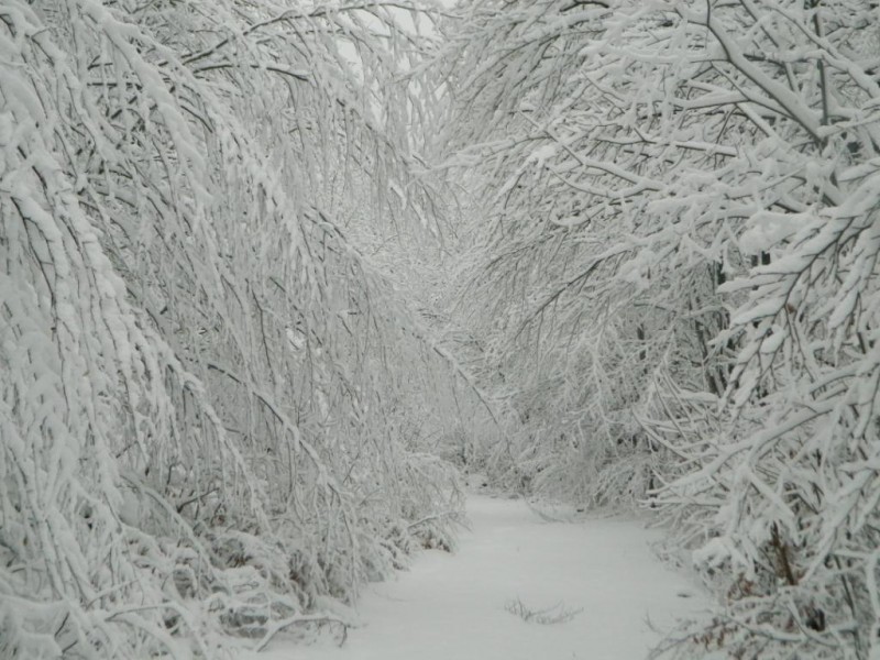 DSCN4693.JPG