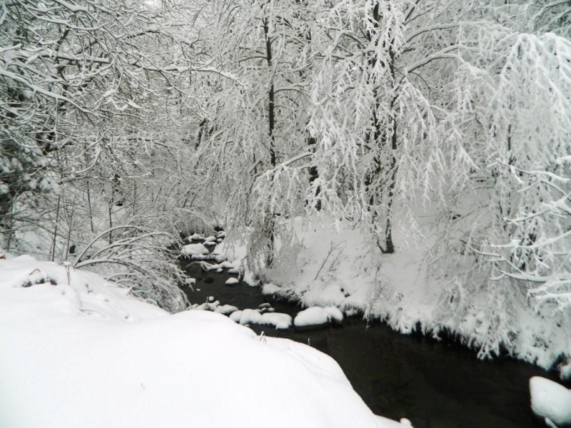 DSCN4698.JPG