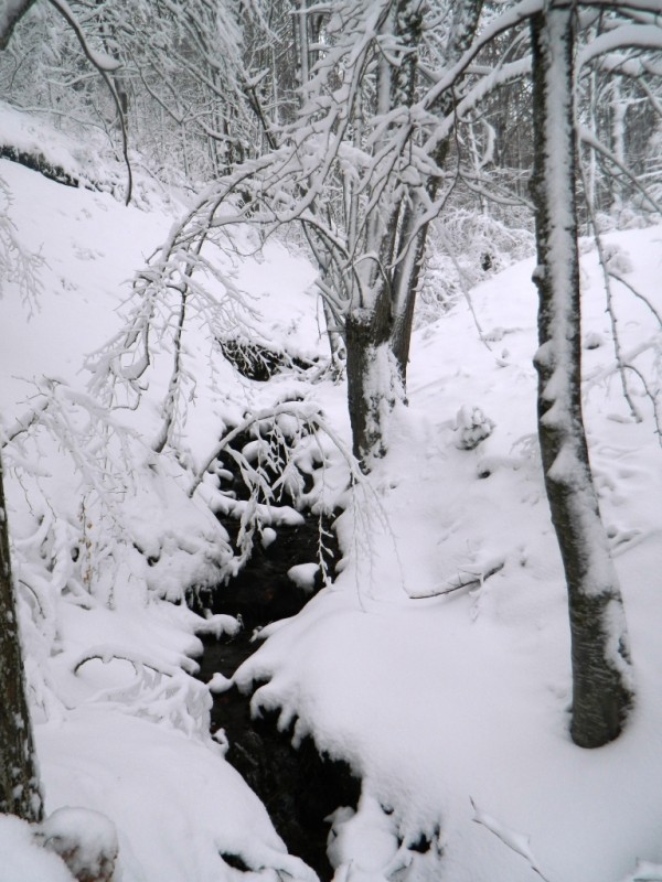 DSCN4702.JPG