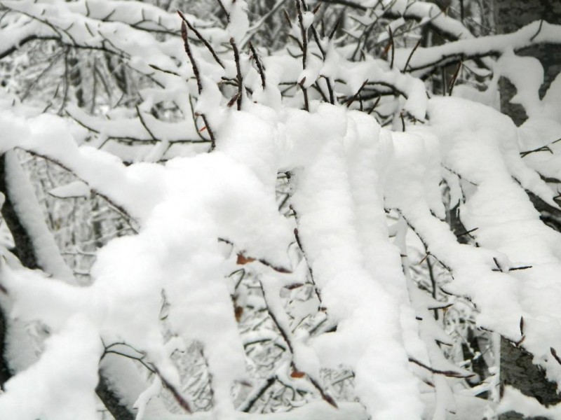 DSCN4715.JPG