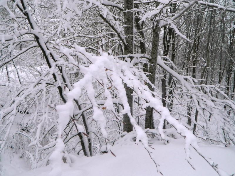 DSCN4716.JPG