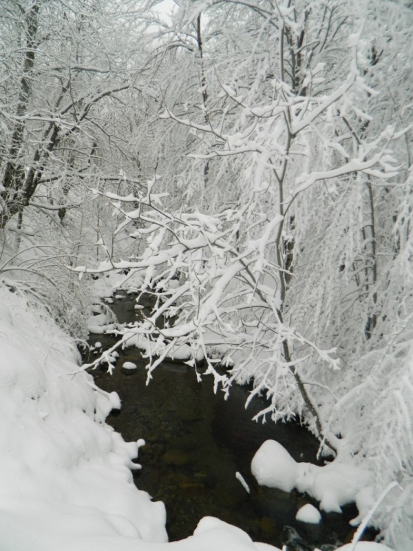 DSCN4719.JPG