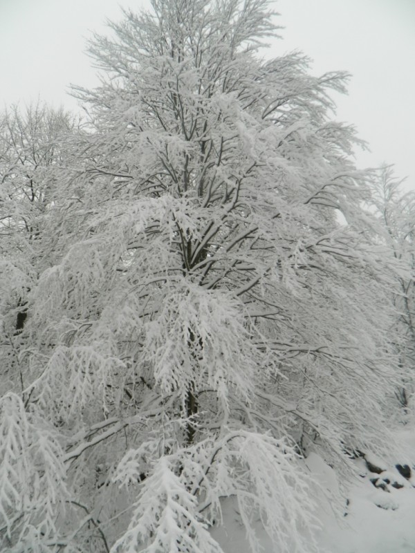 DSCN4721.JPG