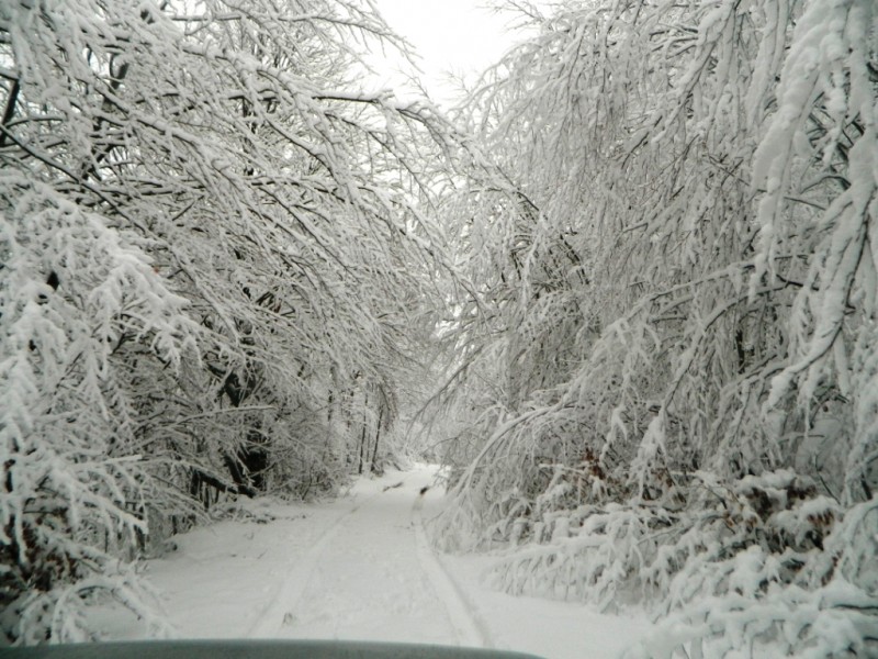 DSCN4725.JPG