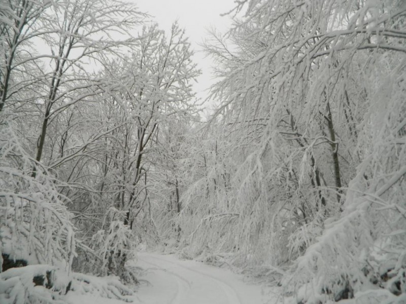 DSCN4727.JPG