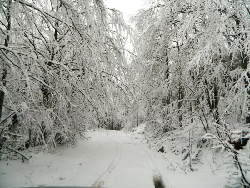 DSCN4730.JPG