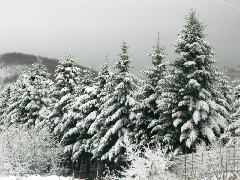 DSCN4732.JPG