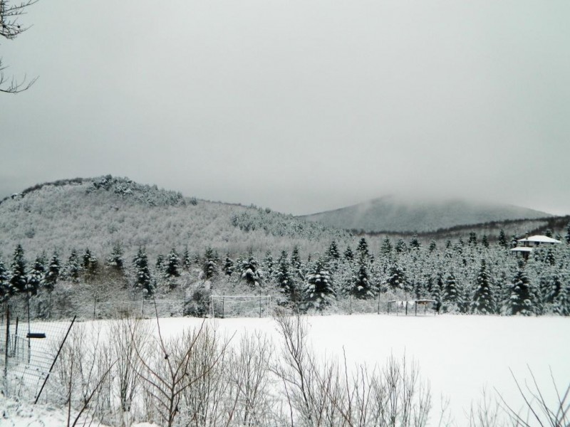 DSCN4734.JPG