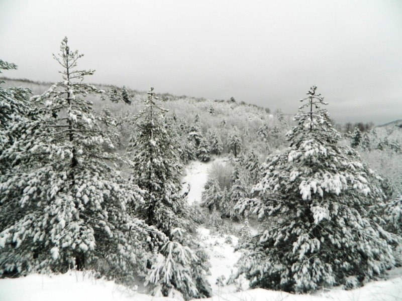 DSCN4735.JPG