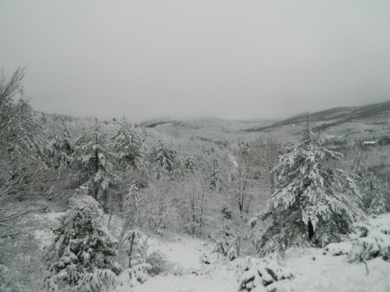 DSCN4739.JPG