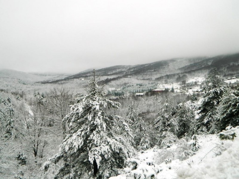 DSCN4740.JPG