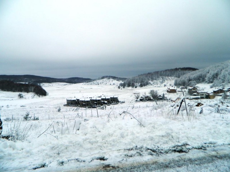 DSCN4742.JPG