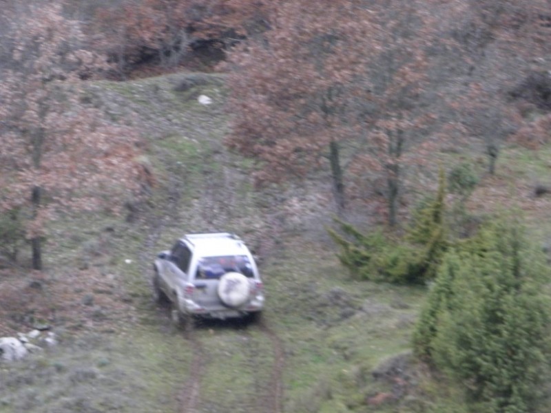 PC300736.jpg