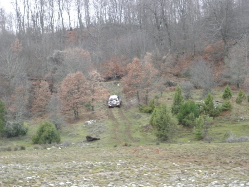 PC300737.jpg