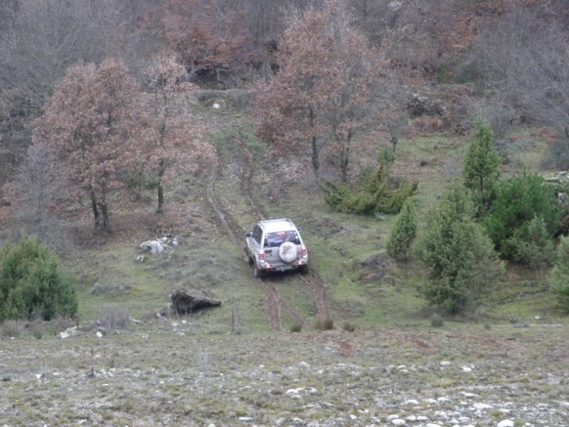 PC300739.jpg