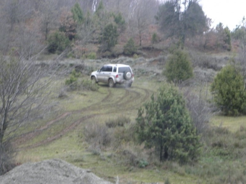 PC300747.jpg