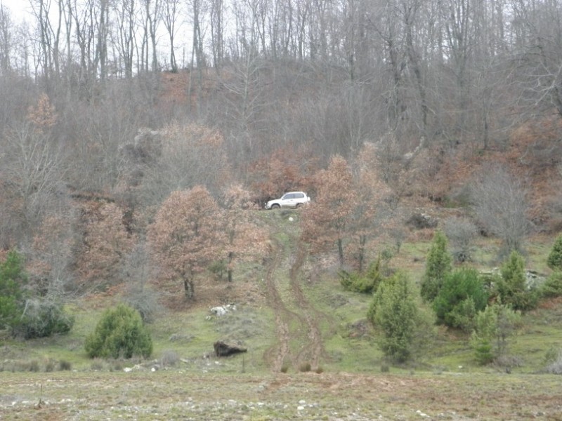 PC300742.jpg
