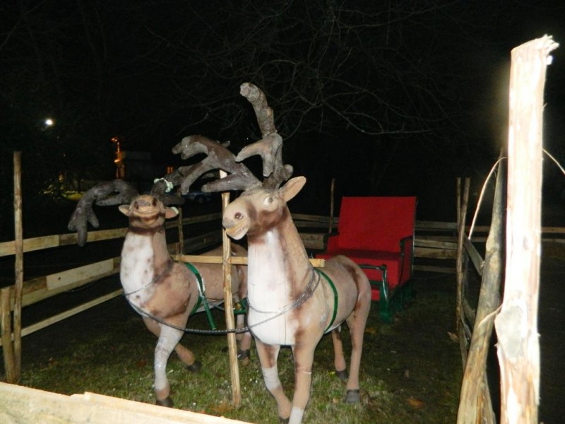 DSCN4789.JPG