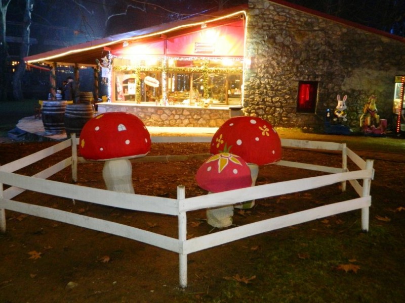 DSCN4793.JPG