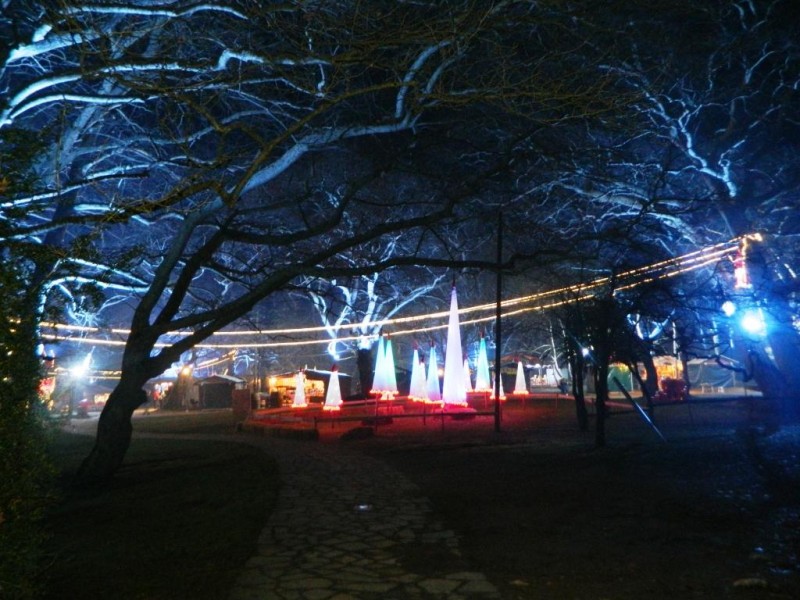 DSCN4811.JPG