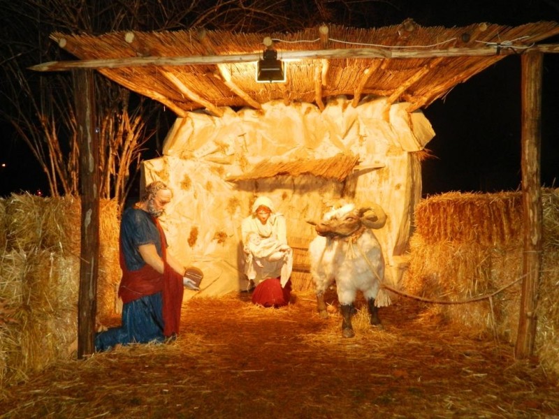 DSCN4816.JPG