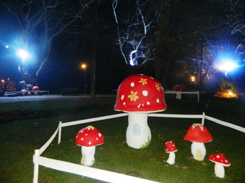 DSCN4819.JPG