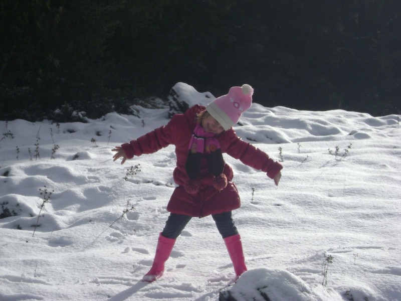 DSC01403.jpg