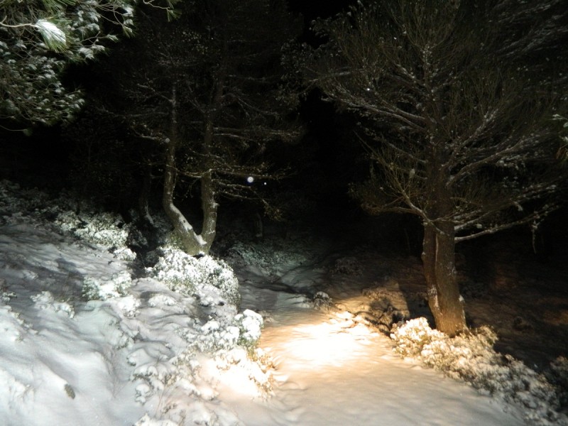 DSCN4841.JPG