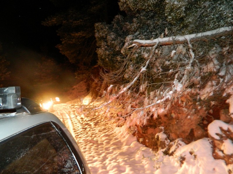 DSCN4852.JPG