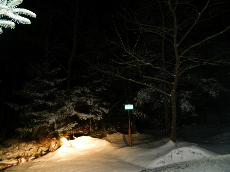 DSCN4853.JPG