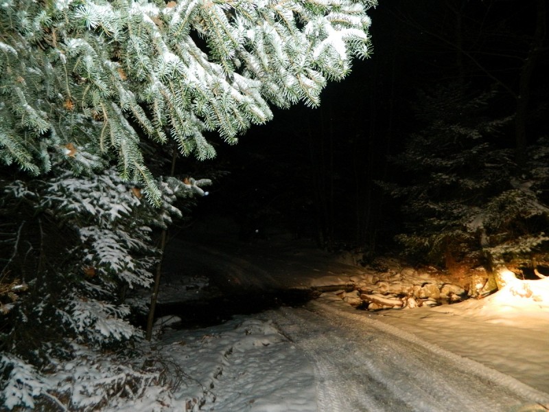 DSCN4854.JPG