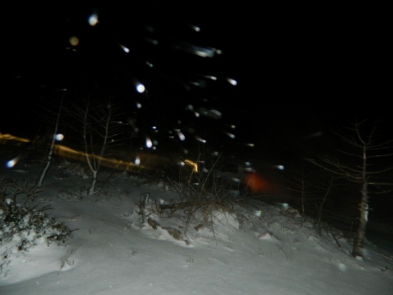 DSCN4860.JPG