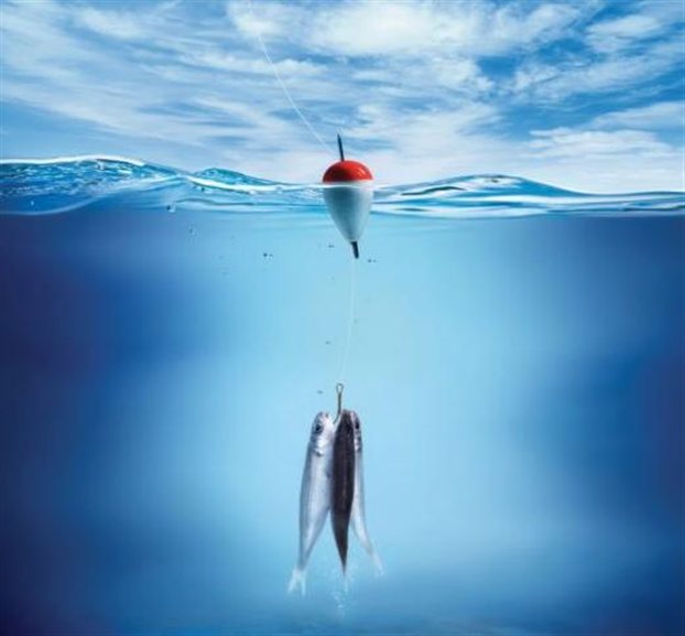 fish..jpg