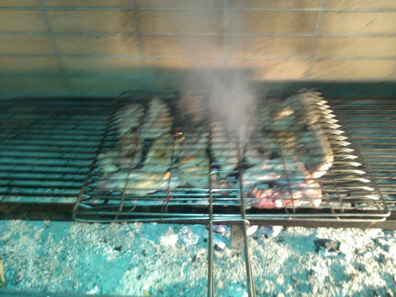WP_000318.jpg