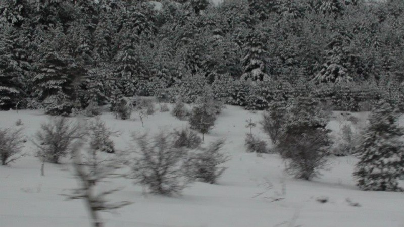 526645_497086996999603_1613588896_n.jpg